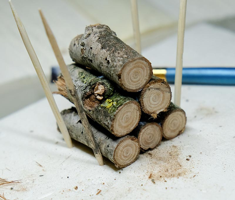 La nature au service de vos dioramas