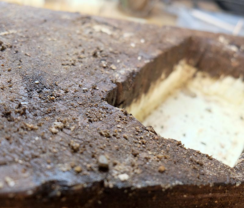 La nature au service de vos dioramas