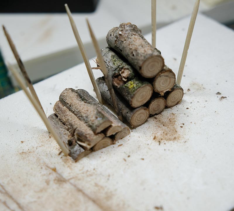 La nature et le bois